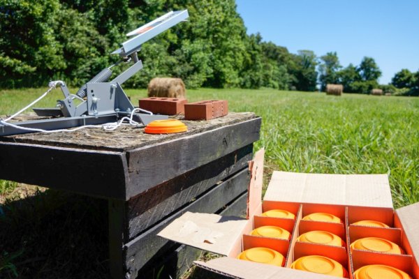 hen party activity clay-pigeon-shooting