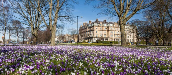 Harrogate hen weekend destination, cottages and activities