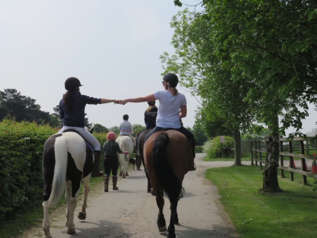 activity horse riding