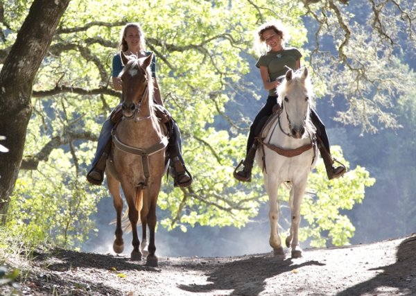 horse riding hen party activity