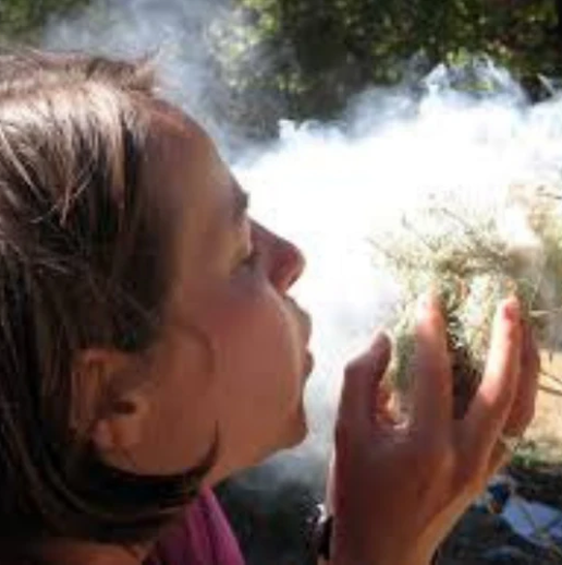 nature fire building