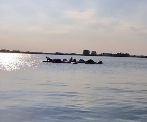 paddleboarding